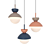 Modern Nordic Pendant Lamp - G9 3D model small image 1