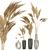 Pampas Dried Plantset in Handmade Vase 3D model small image 1