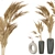 Pampas Dried Plantset in Handmade Vase 3D model small image 6