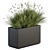 Indian Grass Plant Box Set 3D model small image 2