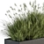 Indian Grass Plant Box Set 3D model small image 4