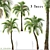 Exquisite Set of Umbrella Palm Trees 3D model small image 1