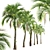 Exquisite Set of Umbrella Palm Trees 3D model small image 2