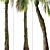 Exquisite Set of Umbrella Palm Trees 3D model small image 5