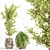 Interior Oasis: Stunning Indoor Plant Collection 3D model small image 5