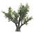 Lush Olive Landscape Tree 3D model small image 3
