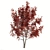 Title: Red Oak Tree - Natural Beauty 3D model small image 2