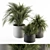 Fresh Greenery: Indoor Plant Set 3D model small image 2