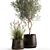 Exquisite Greenery Collection: Metal Potted Plant Ensemble 3D model small image 5