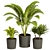 Greenery Delight: Plants Collection 3D model small image 4