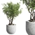 Modern Outdoor Plant Concrete Vase 3D model small image 2