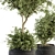 Botanical Bliss: Indoor Plant Set 206 3D model small image 4