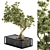 Zen Oasis Bonsai Set 3D model small image 2