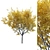 Premium Landscape Tree: 1.1M Poly, 1.7M Verts, Corona Render 3D model small image 1