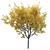 Premium Landscape Tree: 1.1M Poly, 1.7M Verts, Corona Render 3D model small image 2