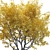 Premium Landscape Tree: 1.1M Poly, 1.7M Verts, Corona Render 3D model small image 3