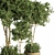 Evergreen Indoor Plant Set 25 3D model small image 3
