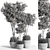 Evergreen Indoor Plant Set 25 3D model small image 4