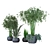 Lush Greenery Collection: Vol 02 3D model small image 6