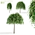 Kilmarnock Goat Willow Trees 3D model small image 1