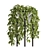  Lush Greenery: Plants Collection 3D model small image 1