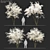 Shadbush Serviceberry Trees - Blooming Delight 3D model small image 1