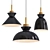 Nordic Metal Pendant Light 3D model small image 1