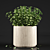 Modern Plant Decor: 22.89cm x 22.11cm x 24.49cm 3D model small image 2