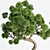 Breathtaking Bonsai - Plant 04 3D model small image 4