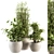 Green Oasis: Indoor Plant Set 3D model small image 1