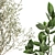 Exotic Plant Collection: Olive, Ficus, Croton, in Stylish Metal Pots 3D model small image 3