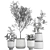 Exotic Plant Collection: Olive, Ficus, Croton, in Stylish Metal Pots 3D model small image 6