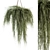 Botanical Bliss - Hanging Plant Set 3D model small image 4