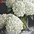 Elegant White Hydrangea and Peony Twig Vases 3D model small image 3