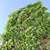 Green Wall Vertical Garden 3D model small image 2