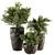 Rock Pot Indoor Plant Set 3D model small image 1