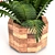 Leafy Green Beauties: Houseplants 07 3D model small image 6