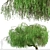 Lush Weeping Willow Trees (Set of 2) 3D model small image 4