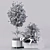 Elegant Indoor Plant Décor 3D model small image 4
