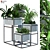 Lush Boxed Plant Set 3D model small image 1