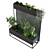 Botanical Greenery Box Set 3D model small image 4