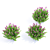 Douglas Spirea Bushes | Spiraea douglasii 3D model small image 4