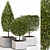 4 Shaped Bush Plants: High-Quality Outdoor Greenery 3D model small image 1