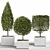 4 Shaped Bush Plants: High-Quality Outdoor Greenery 3D model small image 3