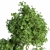 26-Piece Indoor Plant Set: Beautiful Rendrings 3D model small image 6
