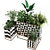 Elegant Indoor Plant Box Set 3D model small image 5