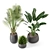 Green Oasis Indoor Plant Set 3D model small image 2