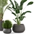 Green Oasis Indoor Plant Set 3D model small image 3