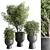 Outdoor Plant Collection: 29 Concrete Vase 3D model small image 1