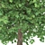 Curly Maple Wood, 239147 Polygons 3D model small image 5